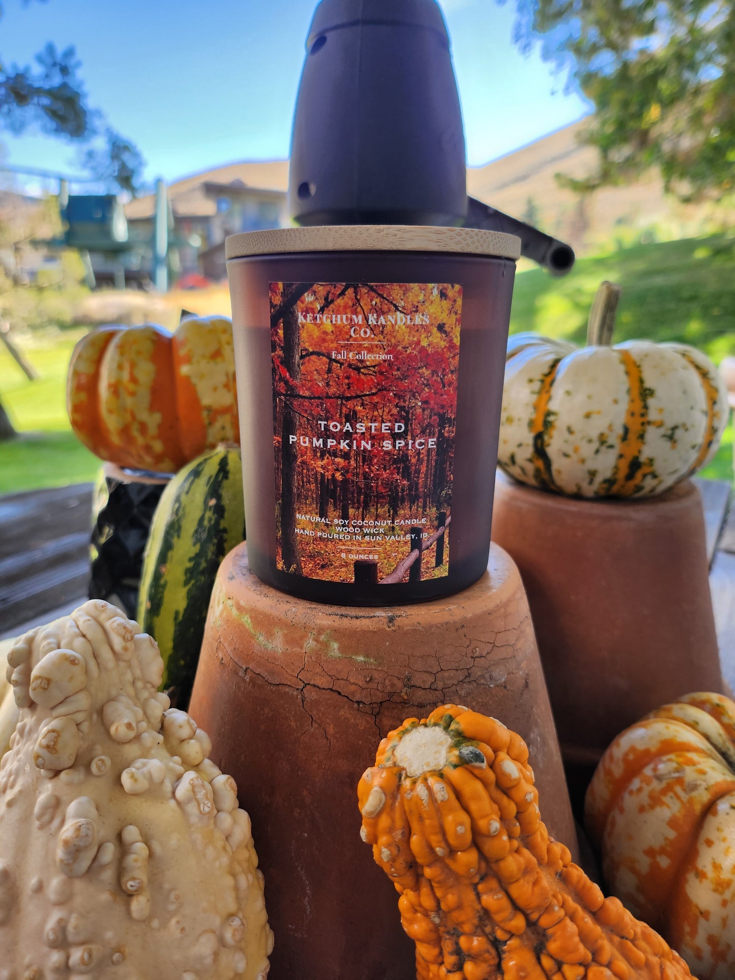 Fall Collection